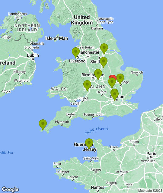 Bedford Blues_league.png